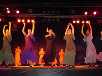 Actuación del Ballet Andalucía