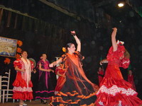 Actuacin del Ballet Andaluca
