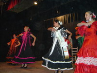 Actuacin del Ballet??O Andaluca